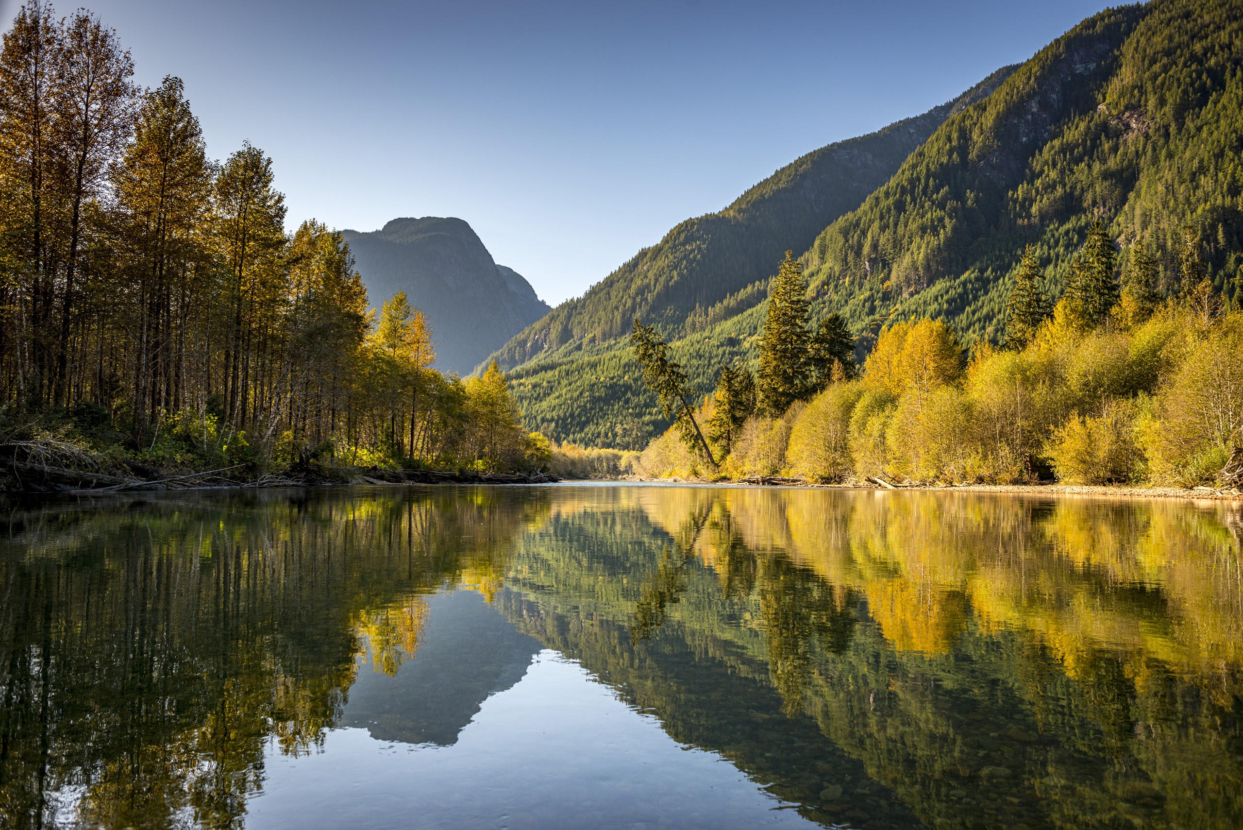 Phillips River reflections